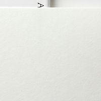阿波紙 プレミオ 楮 180g/平米 A3ノビ（329×483)：10枚