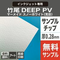 竹尾 DEEP PV かきた サンプルチップ 