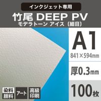 竹尾 DEEP PV モデラトーン アイス