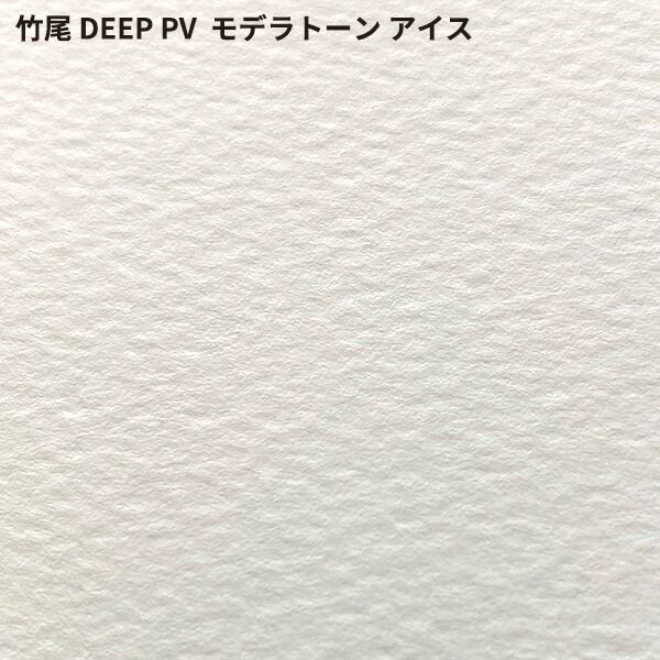 竹尾 DEEP PV モデラトーン アイス
