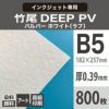 竹尾 DEEP PV パルパー ホワイト