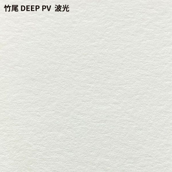竹尾 DEEP PV 波光