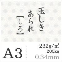 玉しき 紙の専門店《公式》松本洋紙店