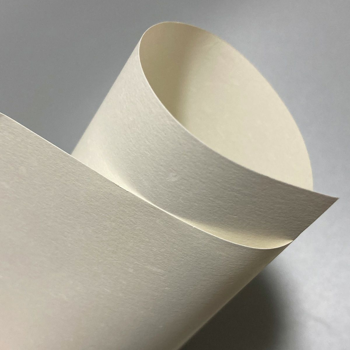 OKフェザーワルツ