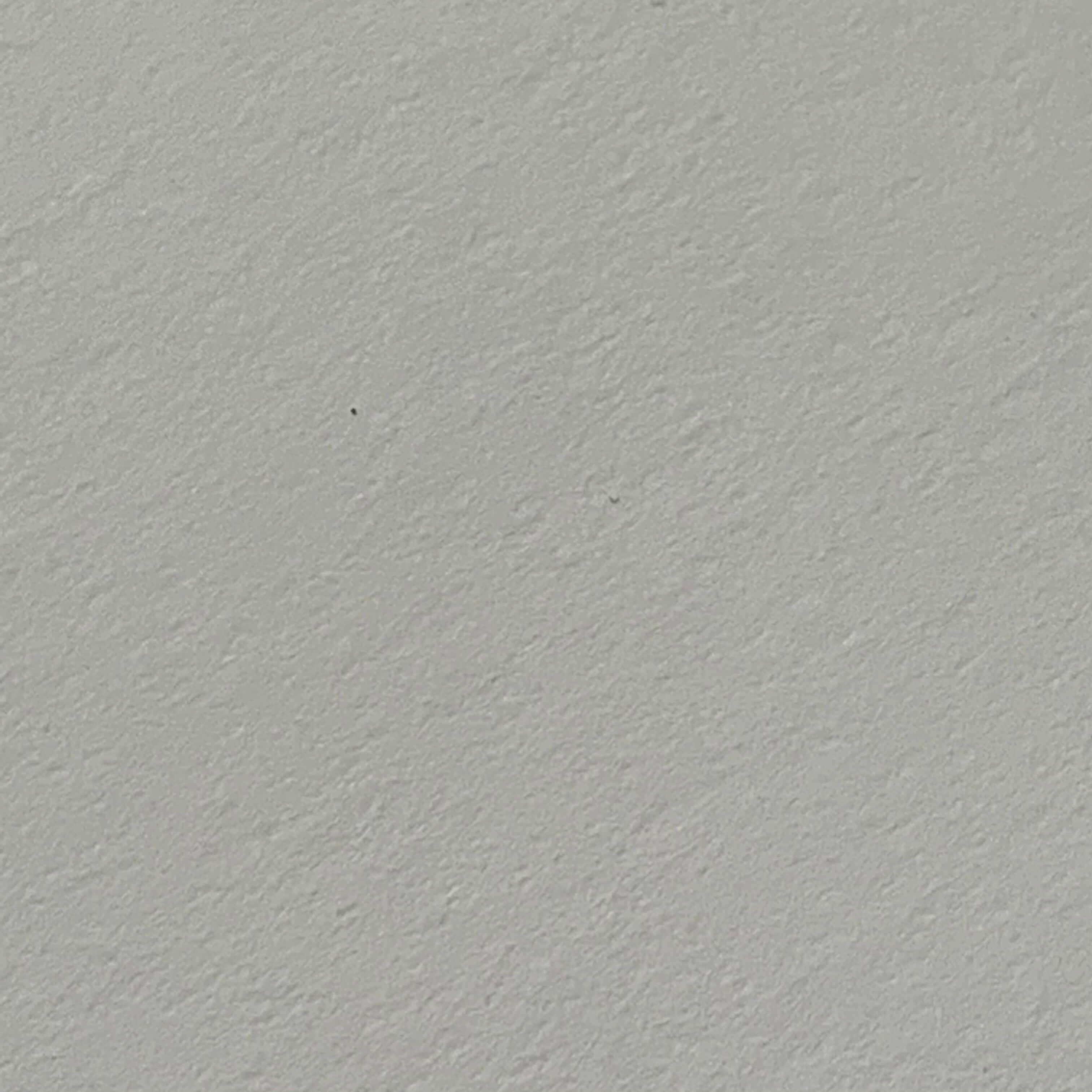 NTラシャ